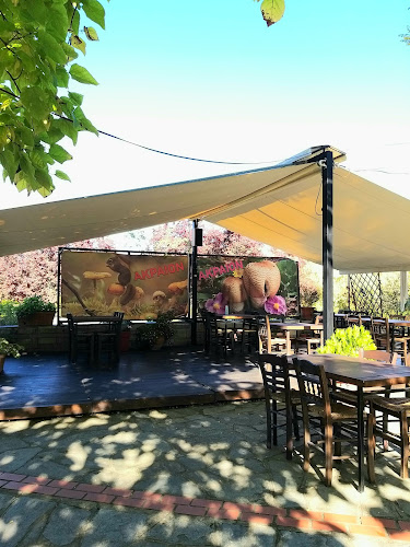 ΑΚΡΑΙΟΝ - Γρεβενά