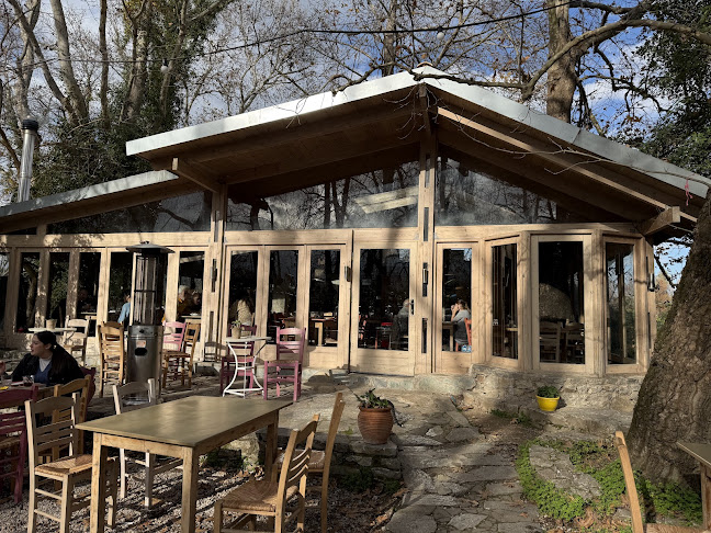 Νυχτερίδα - Κουνουπιδιανά