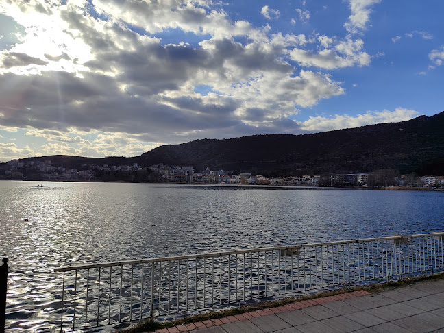 Μεγ. Αλεξάνδρου 57, 2467504033 521 00