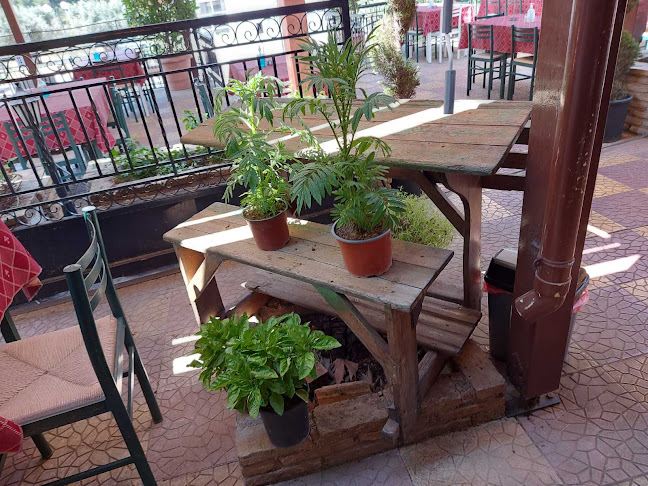 Αβράμης - Φυλή