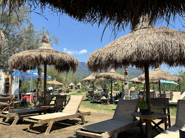 Mikro Karnagio Beach Bar