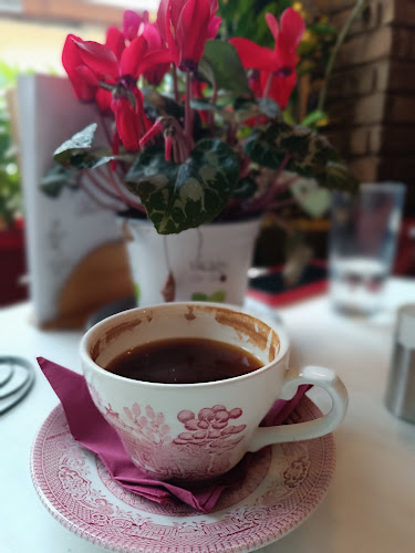 Comentarii opinii despre Chevalier