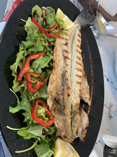 Επαρ.Οδ. Παλιούριου-Άφυτου, Άφυτος 630 77