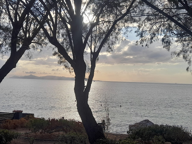 Comentarii opinii despre Agora Riviera Restaurant