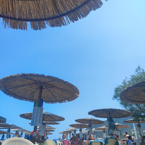 αυλακι δημοτικη επιχειρηση, Μαρκόπουλο Μεσογαίας 190 03