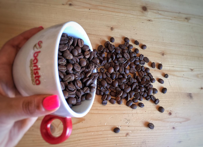 Freddo Caldo Espresso Bar