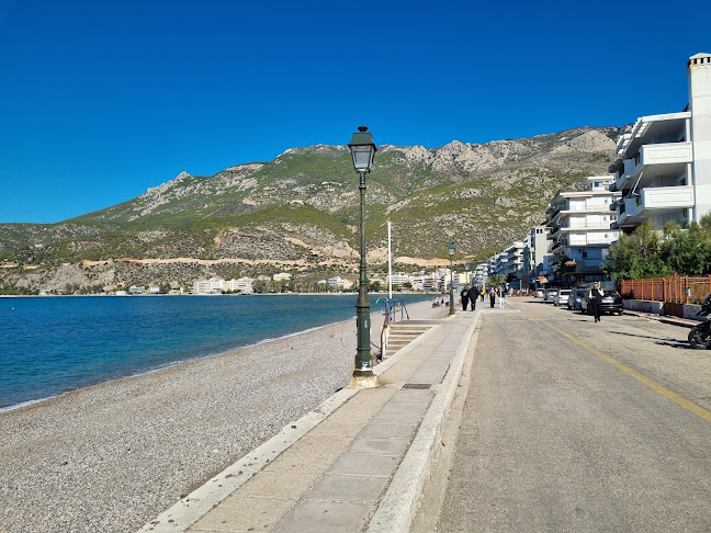 Comentarii opinii despre La Playa