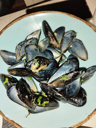 Αχινός - Ναύπακτος