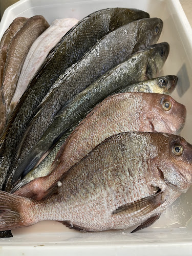 Τα Καλαμαράκια - Πάτρα