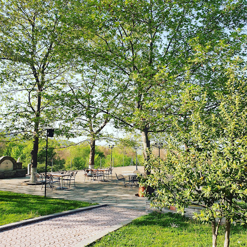 Opinii despre ΠΑΛΕΡΟΝ (ΚΑΦΕ-ΠΙΤΣΑΡΙΑ-ΤΑΒΕΡΝΑ) în Παλαιοχώρι - Γαστρονομία και φιλοξενία