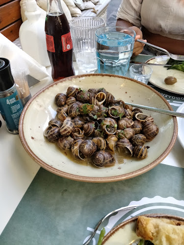 Comentarii opinii despre Μπακαλόγατος