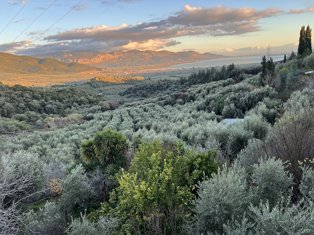 Το Μπαλκόνι