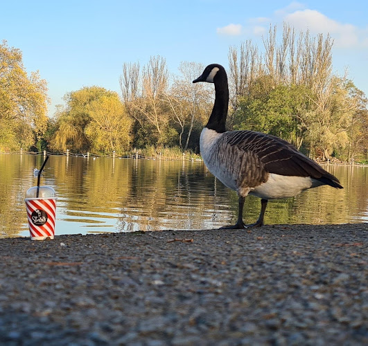Stasiscoffee Ναυπακτος - Γαστρονομία και φιλοξενία