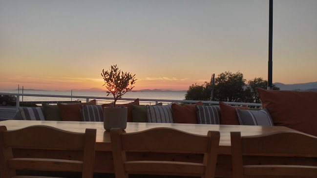 Comentarii opinii despre Oliveto Saronis