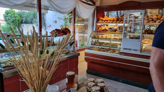 Νέο Κλήμα 370 03