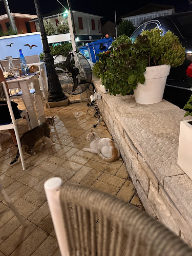 Λευκάδα 311 00