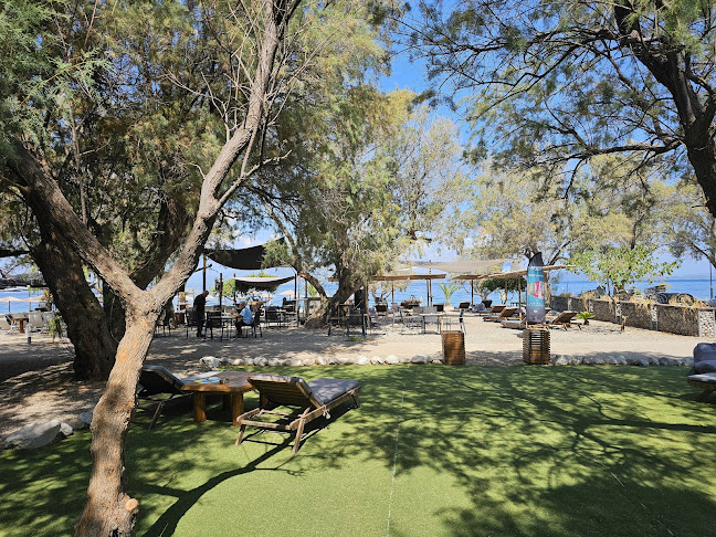 Cactus The Sunny Bar - Γαστρονομία και φιλοξενία