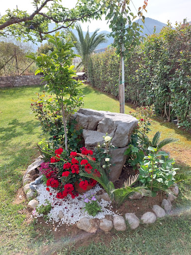 Κόμβος - Πάτρα