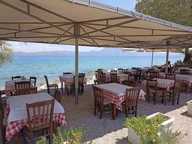 Opinii despre Ippokampos în Βραχάτι - Γαστρονομία και φιλοξενία