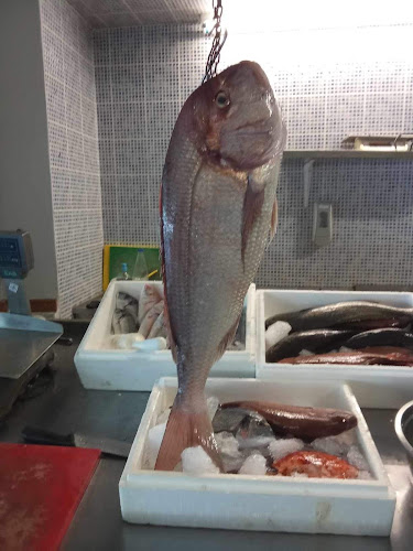 Comentarii opinii despre Blue Fish