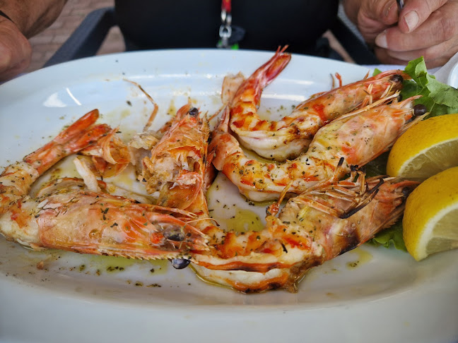 Comentarii opinii despre “Η Ψαροπούλα” Τερτιβανίδης