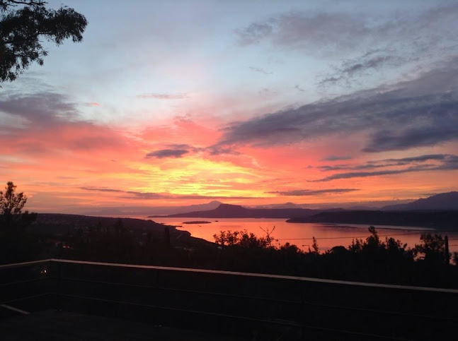 Comentarii opinii despre Νυχτερίδα