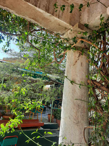 Comentarii opinii despre Μέντα Cafe