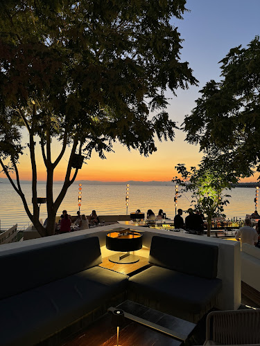 Comentarii opinii despre Bohème