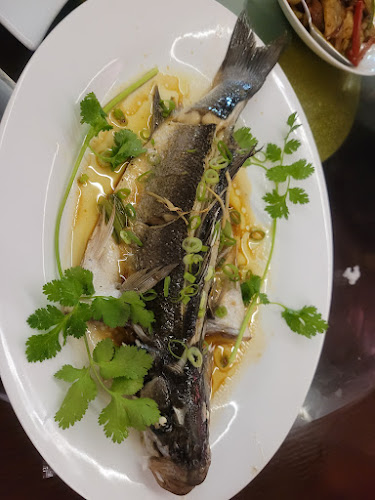 Attic Moon 明月楼, 希腊雅典 - Γαστρονομία και φιλοξενία