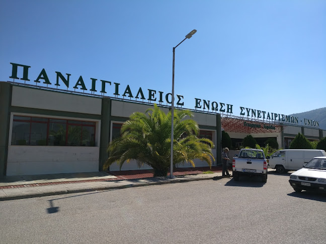 ΠΑΝΑΙΓΙΑΛΕΙΟΣ ΕΝΩΣΗ ΣΥΝΕΤΑΙΡΙΣΜΩΝ