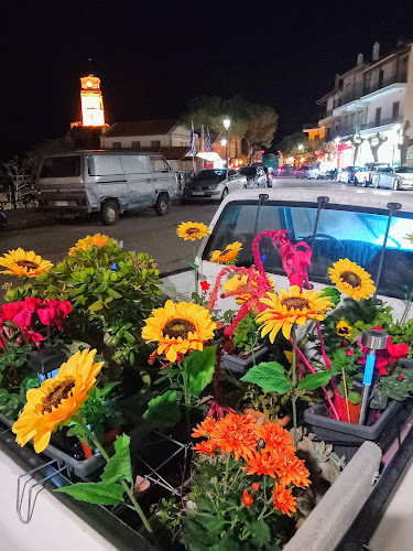 Soleado coffee Arachova - Γαστρονομία και φιλοξενία