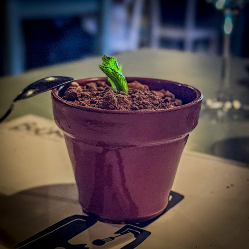 Comentarii opinii despre βούκα