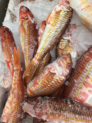 Opinii despre Αρίστος în Όρμος Παναγίας - Γαστρονομία και φιλοξενία