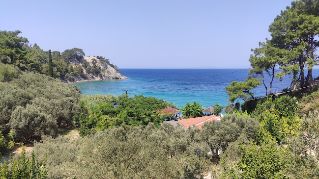 Εστιατόριο Λεμονάκι - Γαστρονομία και φιλοξενία