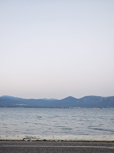 ΤΟ ΚΟΡΑΛΛΙ - Γαστρονομία και φιλοξενία