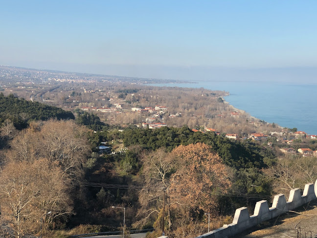 Νέος Παντελεήμων 600 65