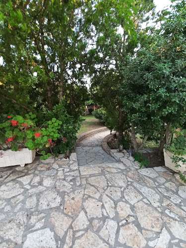 Opinii despre Palmbeach Club în Σύβοτα - Γαστρονομία και φιλοξενία