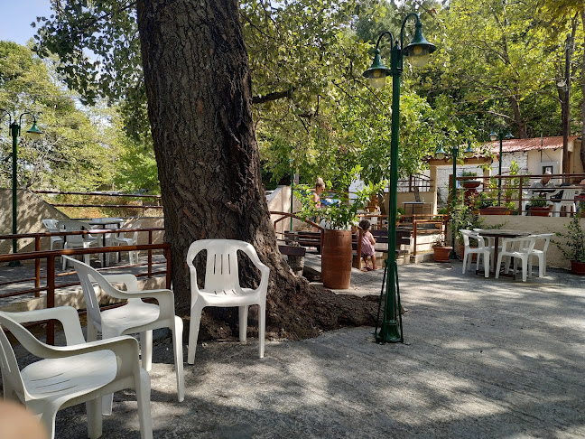 Opinii despre Εστιατόριο "Οι Μύλοι" în Λιτόχωρο - Γαστρονομία και φιλοξενία