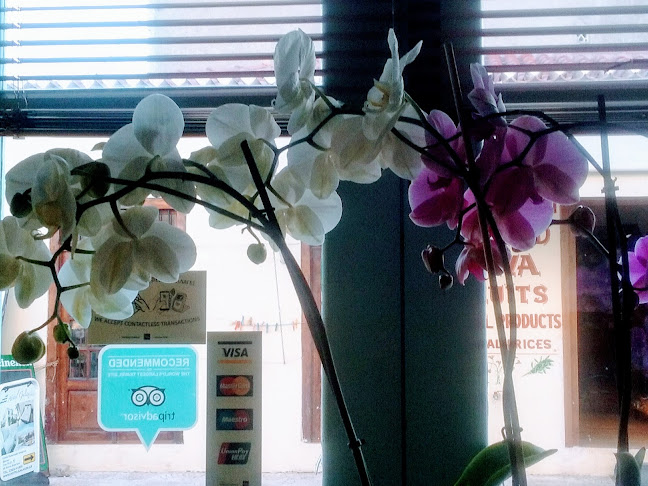 Ακτή Οιανθης, Γαλαξίδι 330 52