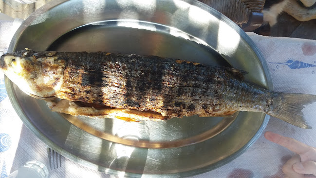 Πηνειός 270 50