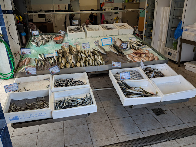 Ιχθυοπωλείο "Η Σούδα" - Κονταξάκης οε