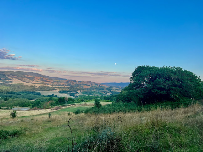 Ταβερνα λιοντας - Καλαμπάκα