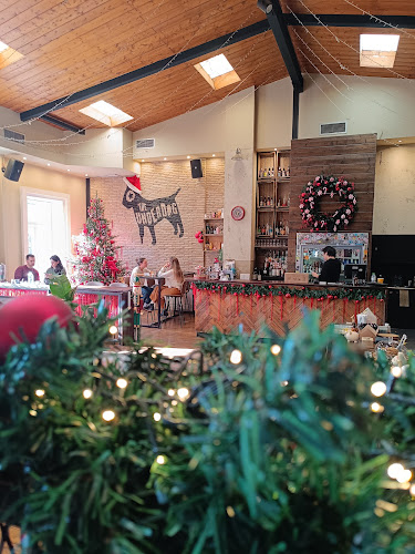 Comentarii opinii despre The Underdog® Flagship Store Thissio