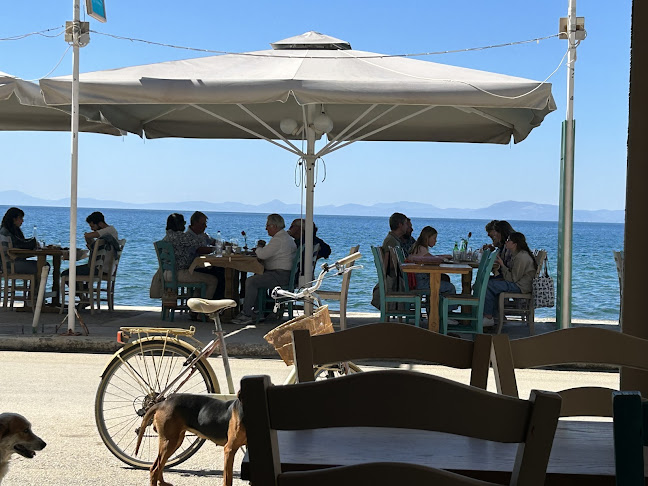 Comentarii opinii despre Argo Restaurant