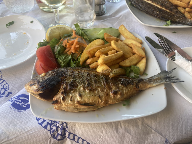 Επαρ.Οδ. Λευκάδας - Βασιλικής, Λευκάδα 311 00