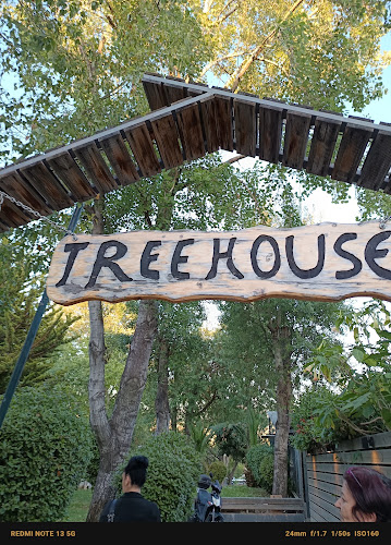 Comentarii opinii despre Treehouse Cafe Περιστέρι