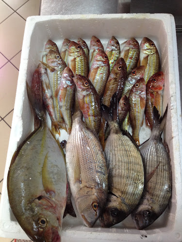 Opinii despre Εν Πλω în Κυπαρισσία - Γαστρονομία και φιλοξενία