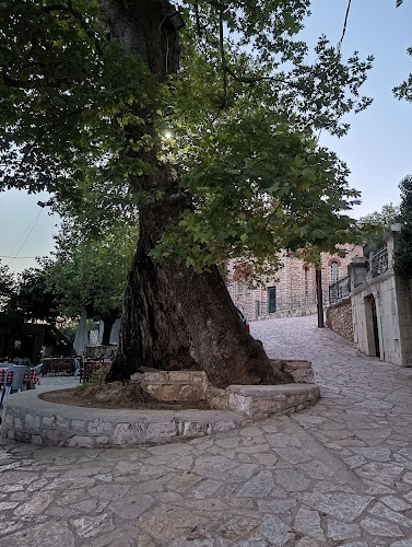 Comentarii opinii despre Ταβέρνα Η Μέτζενα