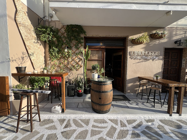 Comentarii opinii despre OINOHOROS Wine Bar & Shop