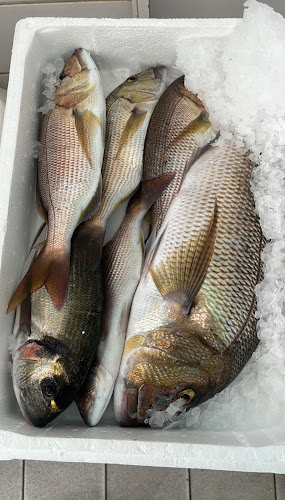 New peramos, Νίκης 31, Kavala 640 07